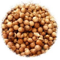 Коріандр горошок