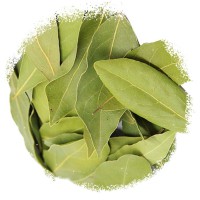 Лавровий лист