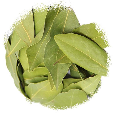 Лавровий лист