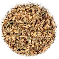 Уцхо сунелі