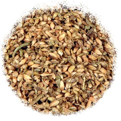 Уцхо сунелі